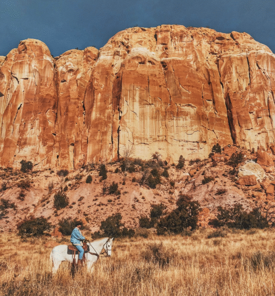 Wild West Horseback Adeventures: Las Vegas Desert Sunset Horseback Ride with BBQ Dinner